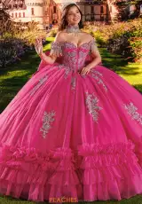 Fuchsia Silver