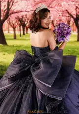 Navy Lilac