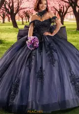 Navy Lilac
