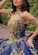 Navy/Gold