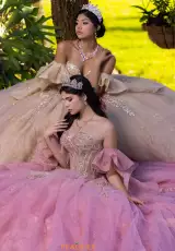 Champagne/Gold and Rose Gold