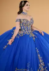 Royal/Gold