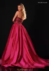 Fuchsia Multi