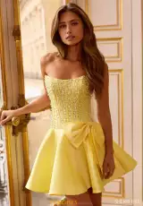 Yellow/Silver