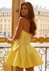 Yellow/Silver