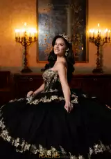 Black/Gold