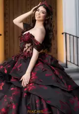 Black/Red