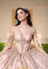 Champagne