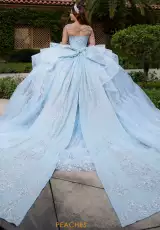 Light Blue/Silver