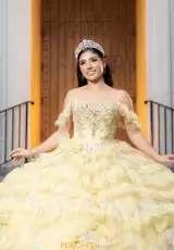 Yellow/Silver