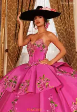 Fuchsia Multi