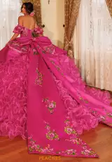 Fuchsia Multi
