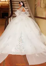 Ivory Multi