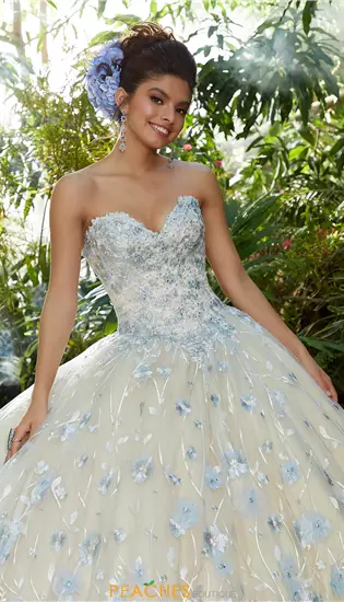 Vizcaya Quinceanera 34011