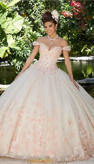 Vizcaya Quinceanera 34015
