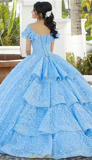 Vizcaya Quinceanera 34072