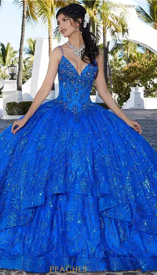 Vizcaya Quinceanera 60163