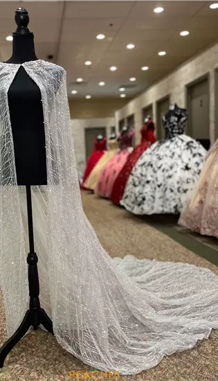 Vizcaya Quinceanera 89201