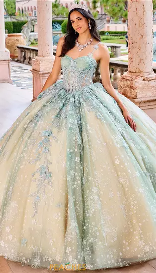 Princesa Quinceanera PR30158