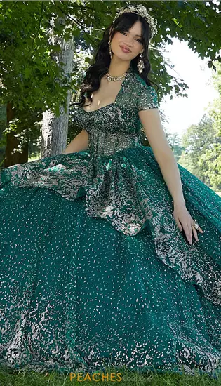Vizcaya Quinceanera 89452