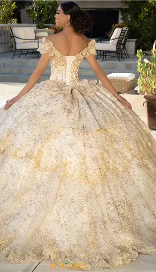 Vizcaya Quinceanera 89431