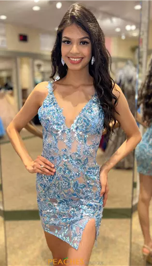 Fitted V Neck Dress 1180