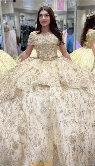 Vizcaya Quinceanera 34055