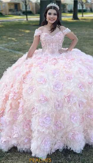 Vizcaya Quinceanera 34081