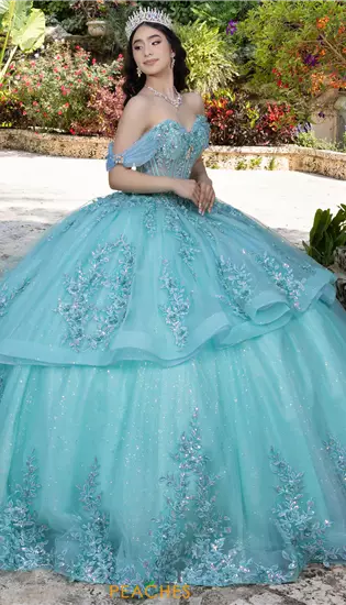 LizLuo Quinceanera 26107