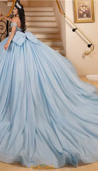 LizLuo Quinceanera 26104