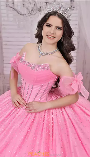 LizLuo Quinceanera 26114