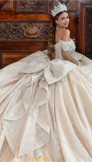 LizLuo Quinceanera 80035