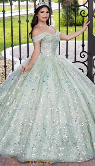 LizLuo Quinceanera 56536