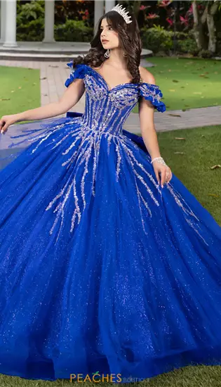 LizLuo Quinceanera 56535