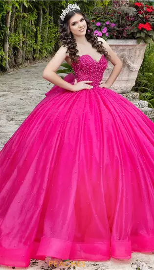 LizLuo Quinceanera 26102