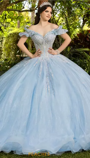 LizLuo Quinceanera 56535