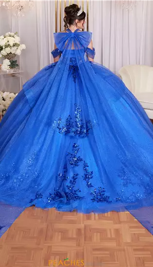 Vizcaya Quinceanera 89513