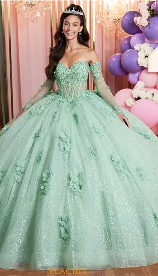 Vizcaya Quinceanera 89512