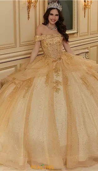 Vizcaya Quinceanera 89485