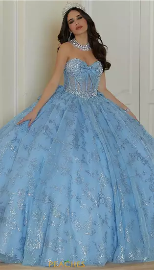 Vizcaya Quinceanera 89478