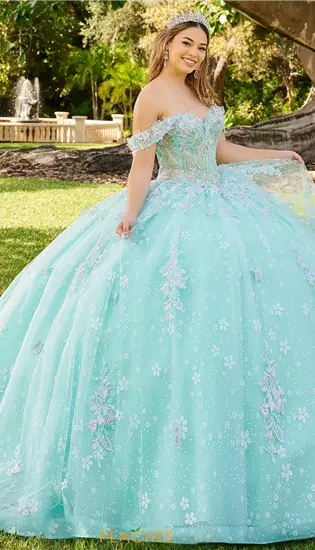 LizLuo Quinceanera 56515