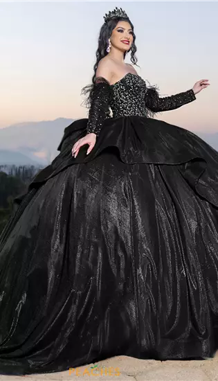 LizLuo Quinceanera 26097