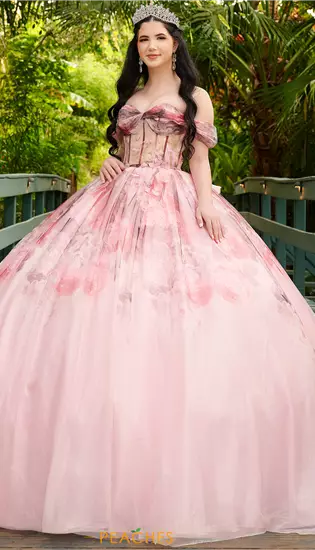 LizLuo Quinceanera 56520