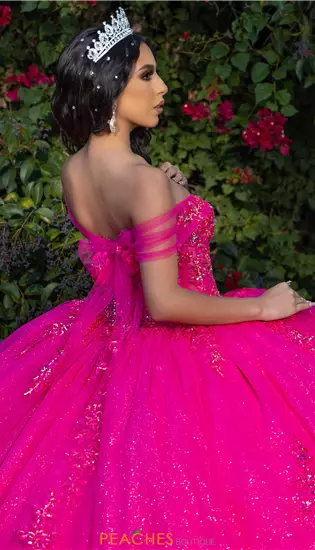 LizLuo Quinceanera 26091