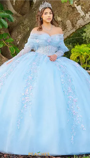 LizLuo Quinceanera 56508