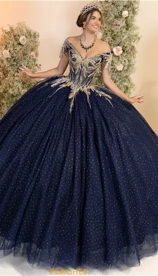 LizLuo Quinceanera 56555