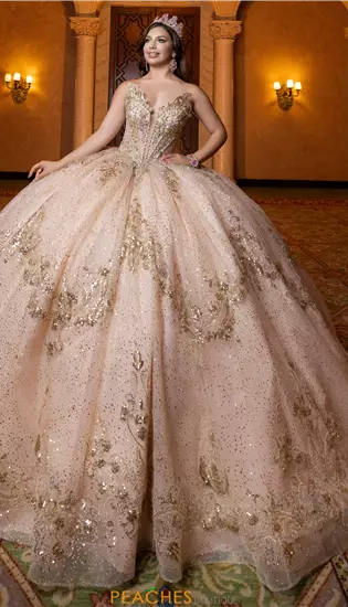 Vizcaya Quinceanera 4080028