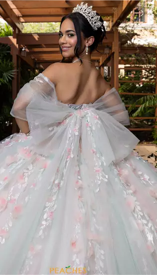 Vizcaya Quinceanera 4080001