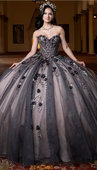 Vizcaya Quinceanera 4080022