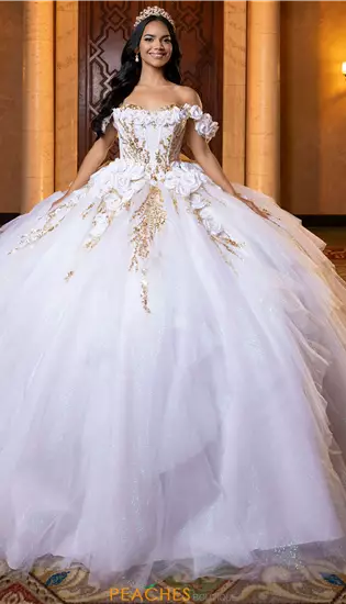 Vizcaya Quinceanera 4080020